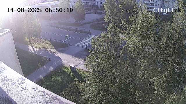Пешеходный переход на пр-кт. Горняков